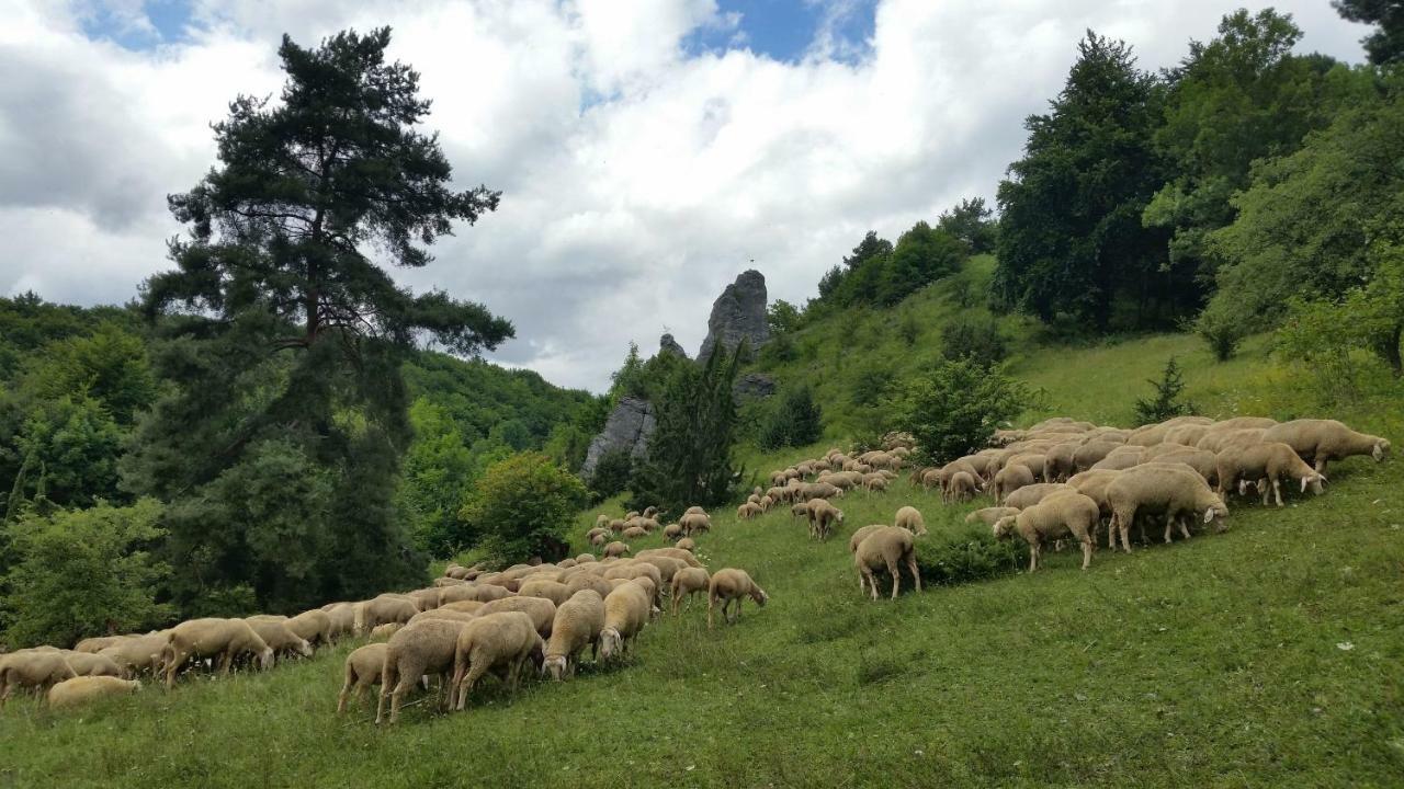 فندق Luisenhof Geisfeld  المظهر الخارجي الصورة